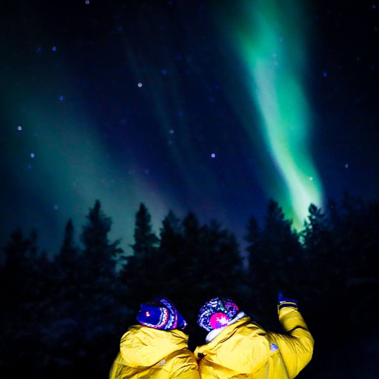 Two guests in yellow jackets watching Northern Lights above a forest